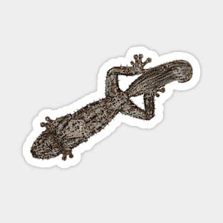 Uroplatus Fimbriatus Magnet