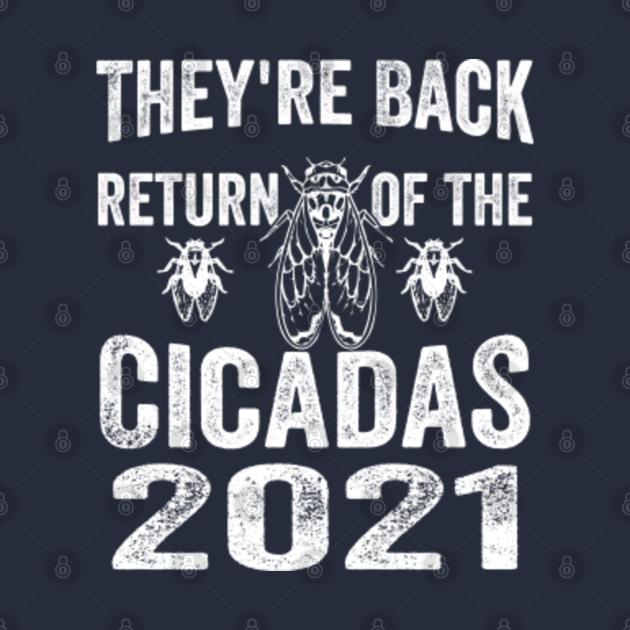 They're Back Cicadas swarm Brood X usa 2021 Insect cicada ...