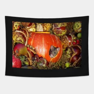 halloween pumpkin Autumn wild mouse Tapestry