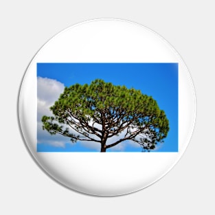 Italian Stone Pine Pin