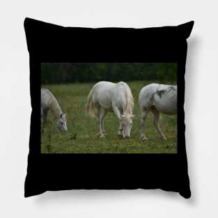 Wild Horses Pillow