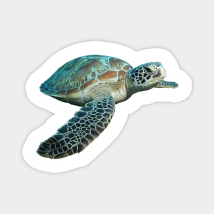 Sea Turtle Magnet