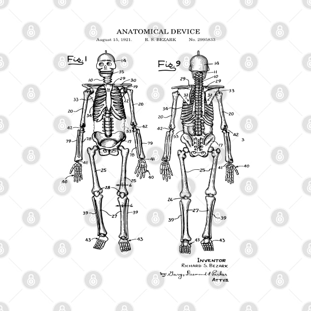 Human Skeleton Artwork Patent Image 1921 by MadebyDesign