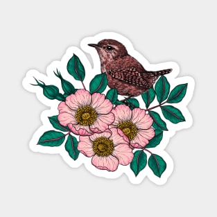 Wren on a dog rose Magnet