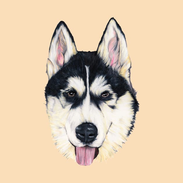 Husky by Apatche