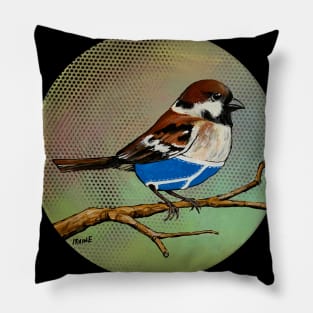 House Sparrow Wearing Over-priced Vintage Y Fronts Pillow
