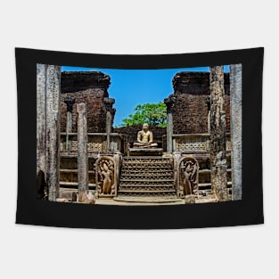 Potgul Vehera, Polonnaruwa. Tapestry