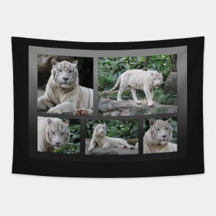 White Tiger Collection #2 Tapestry