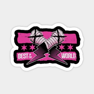 CM Punk Best In The World Pink Magnet