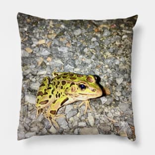 Nice Frog Pillow