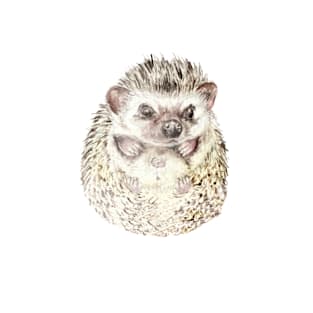 Baby Hedgehog T-Shirt