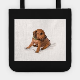 Miniature Pinscher puppy Tote