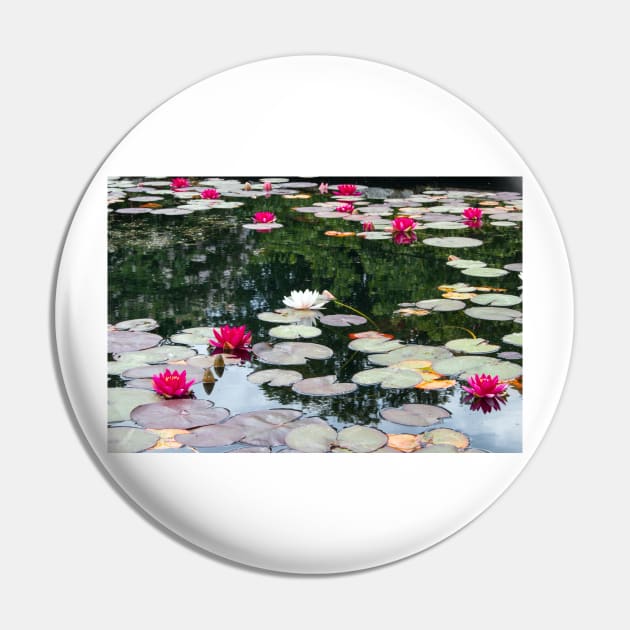 Lily pond Pin by HazelWright