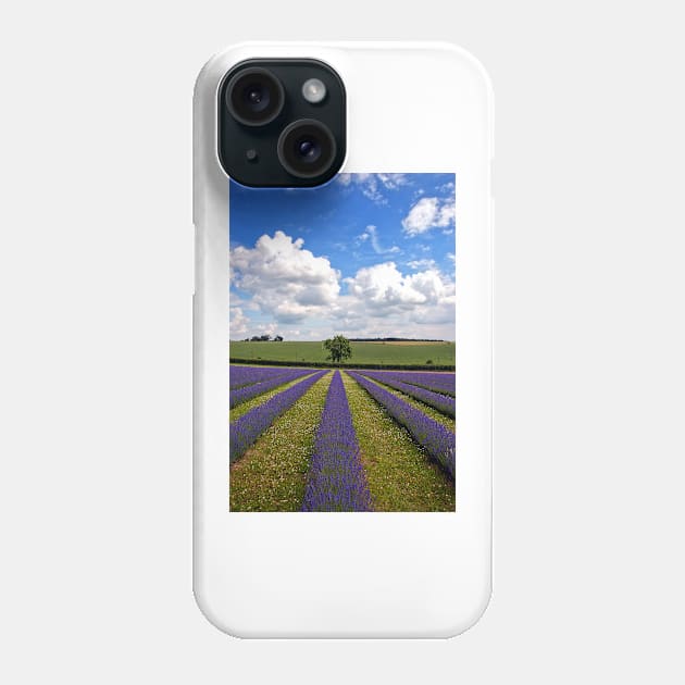 Lavender Field Purple Flowers Cotswolds England Phone Case by AndyEvansPhotos