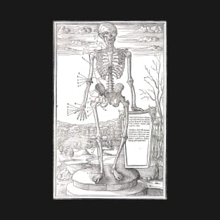 Anatomical skeleton illustration from De dissectione partium corporis humani libri tres published circa 1545 (Cleaned to remove bleed thru text) T-Shirt