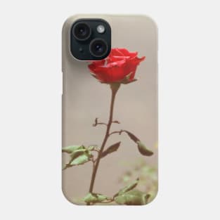 Red Red Rose Phone Case