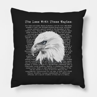 What Are The Laws With These Eagles? Pillow