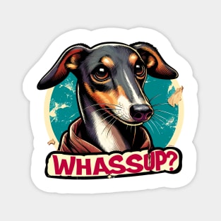 Whassapp Galgo Magnet