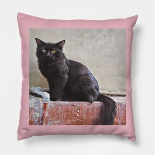 CAT LOVER AND LOVER ART Pillow