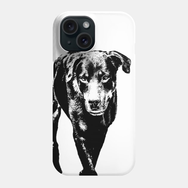 rottweiler Phone Case by rickylabellevie