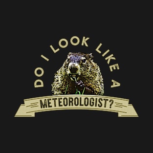 Do I Look Like a Meteorologist T-Shirt