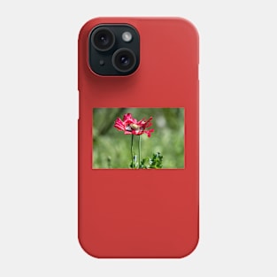 Red Poppy Wildflower Phone Case