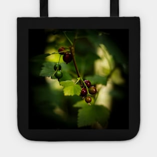 Blackcurrant Berries Tote