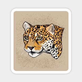 Jaguar (Panthera onca) Magnet