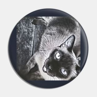 ART SIAMESE Pin