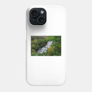 Autumn at Albion Falls Phone Case