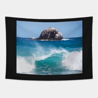 Big Wave Rock off of Pigeon Island Saint Lucia Tapestry