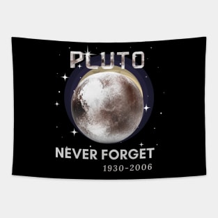 Never Forget Pluto Tapestry