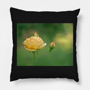 Mellow Yellow Rose Pillow