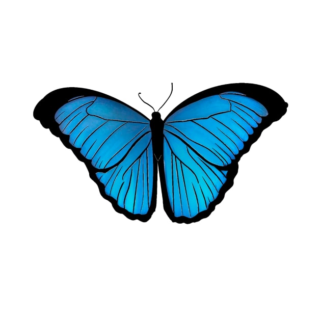 Mariposa azul aesthetic cottagecore  lepidopterología by uchix