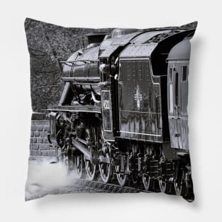 45212 B/W Pillow