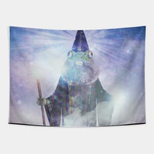 Frog Wizard Tapestry