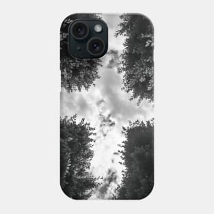 Robert Irwin 3 Phone Case