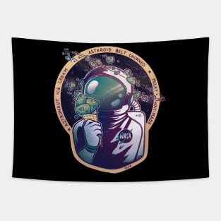 USA Space Agency Vintage Colors Tapestry