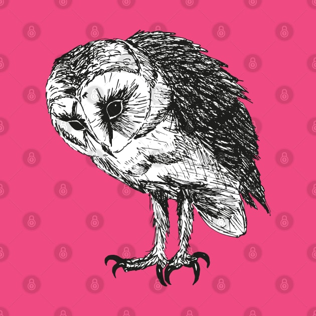 Barn owl pen drawing by Bwiselizzy