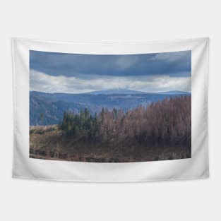 View to the Brocken in winter, Harz, Lower Saxony, Germany, Europe Tapestry