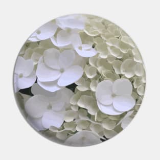 White Hydrangea Blossoming Flowers Pin