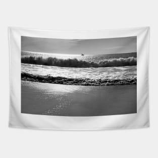 Dana Point Waves Tapestry