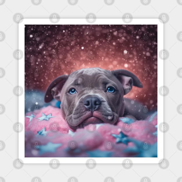 Staffy blanket clearance