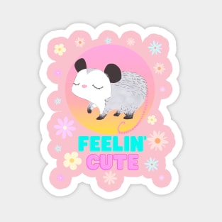 Feelin' Cute Possum Magnet