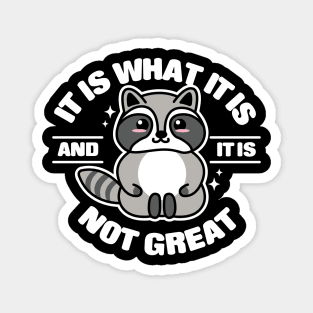 It Is What It Is And It Is Not Great Raccoon Magnet