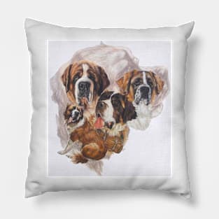 Saint Bernard Medley Pillow