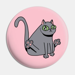 Derp Cat Pin