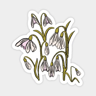 Baby Pink, Cream, and Green Snowdrop Flowers Magnet