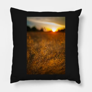 Selective focus sunset Pillow