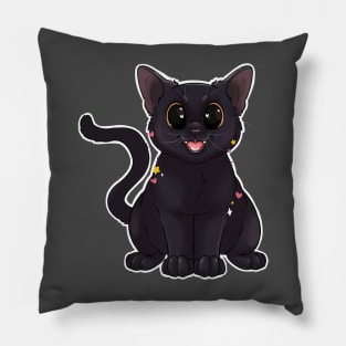 Boo the cat Pillow